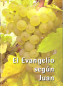 Preview: Evangile de Jean, Espagnol
